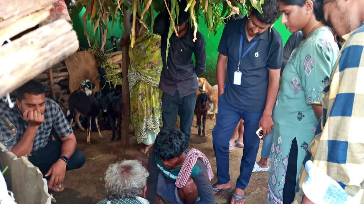 ಪಿಪಿಆರ್ ವೈರಸ್ ಸೋಂಕು