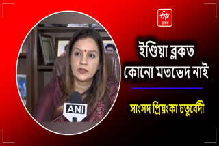 MP Priyanka Chaturvedi on INDIA block meeting