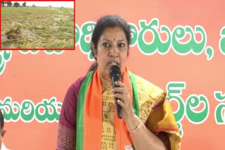 purandeshwari_demands_compensation_to_farmers