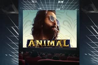 Animal Box Office Collection