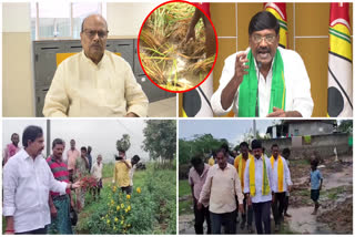 tdp_leaders_demands_compensation_to_farmers