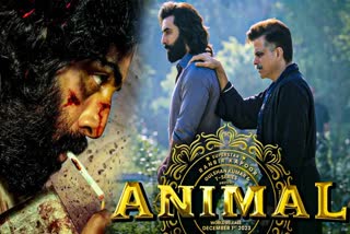 Ranbir Kapoor starrer film Animal becomes second fastest 250 crore hindi beats