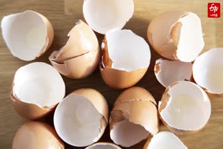 egg shells for beauty care in tamil