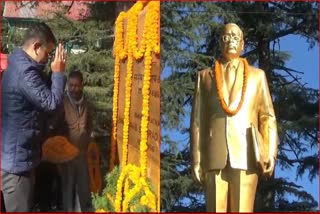 Vikramaditya Singh paid tribute To br ambedkar