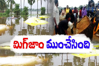 heavy_rains_in_two_godavari_districts