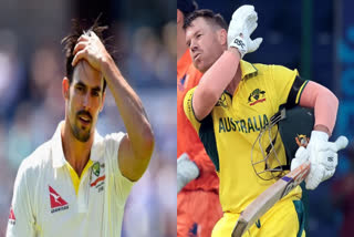 Mitchell Johnson  mitchell johnson David Warner controversy  Mitchell Johnson AUS vs PAK Test commentary panel  Mitchell Johnson against David Warner  Australia vs Pakistan Test  മിച്ചല്‍ ജോണ്‍സണ്‍ ഡേവിഡ് വാര്‍ണര്‍ വിമര്‍ശനം  ഓസ്‌ട്രേലിയ vs പാകിസ്ഥാന്‍ ടെസ്റ്റ്  മിച്ചല്‍ ജോണ്‍സണ്‍ ട്രിപ്പിൾ എം കമന്‍ററി പാനല്‍  Mitchell Johnson Triple M Commentary Panel  ഡേവിഡ് വാര്‍ണര്‍