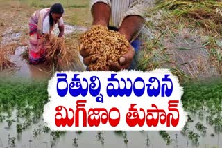 Huge Crops Loss to Farmers in Telangana
