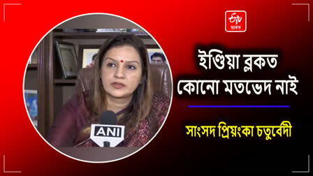 MP Priyanka Chaturvedi on INDIA block meeting