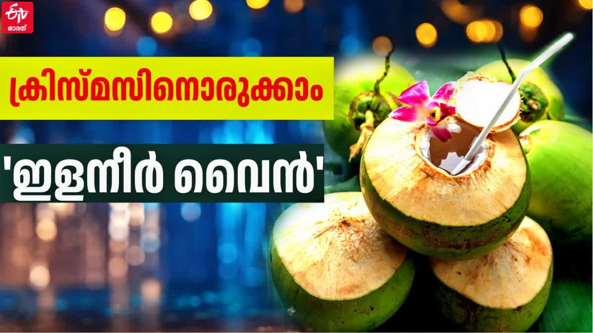 TENDER COCONUT WINE  ക്രിസ്‌മസിനുള്ള വൈന്‍ റെസിപ്പി  ഇളനീര്‍ വൈന്‍ റെസിപ്പി  COCONUT WATER WINE RECIPE FOR XMAS