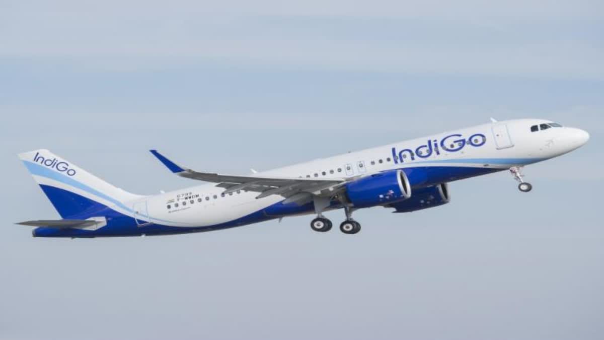 IndiGo Special Flight