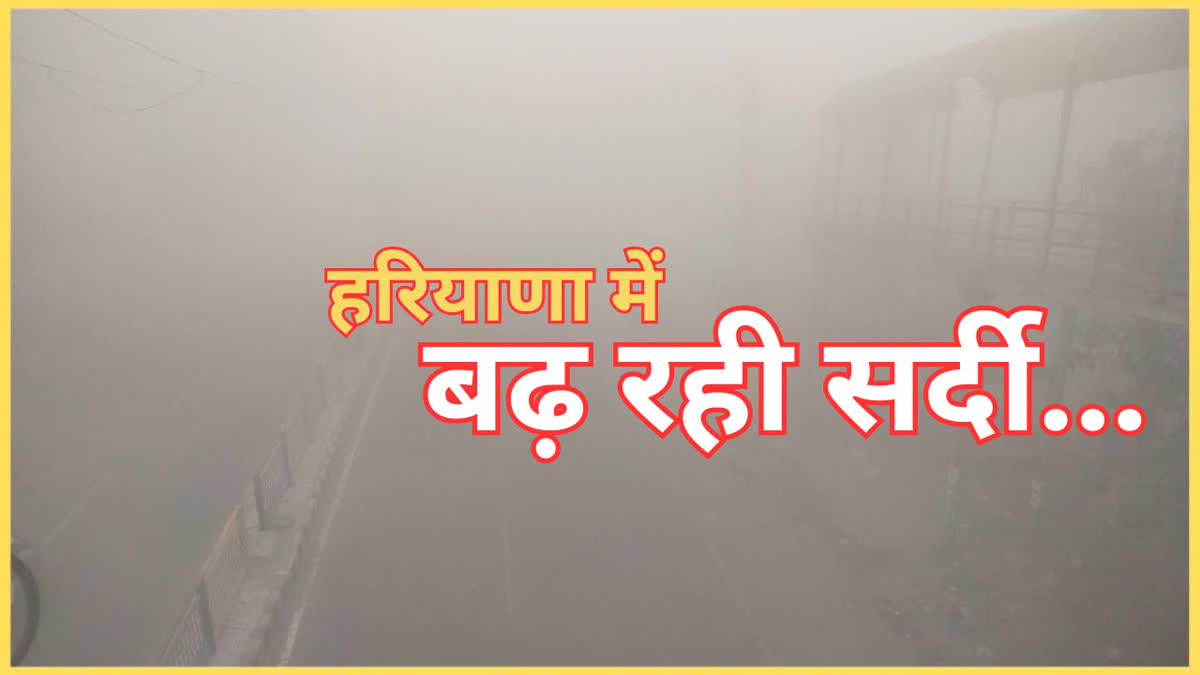 haryana weather updates