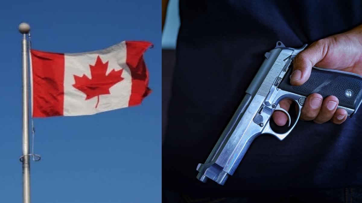 Gun Ban In Canada