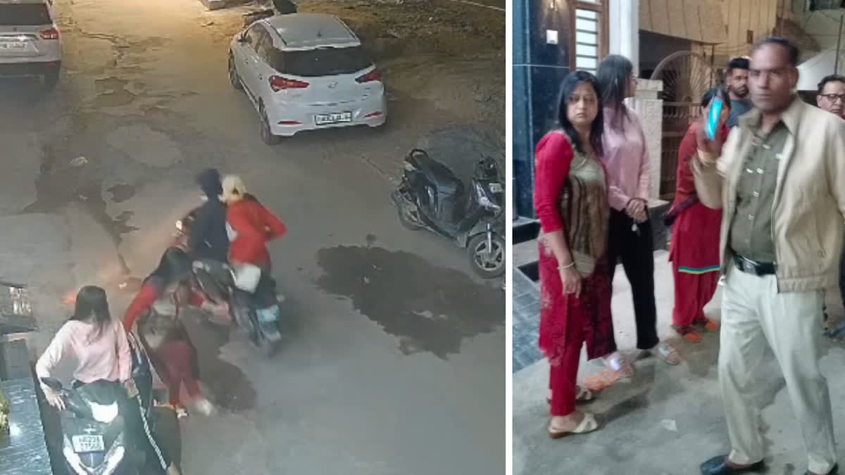 PURSE SNATCHED HISAR WOMAN