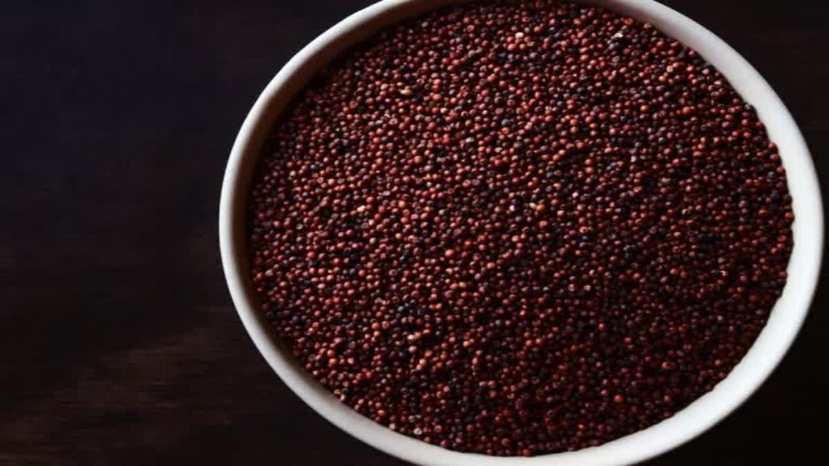 RAGI HEALTH BENEFITS  റാഗിയുടെ ആരോഗ്യ ഗുണങ്ങൾ  WHY RAGI SHOULD BE IN YOUR DIET  HEALTH BENEFITS OF RAGI