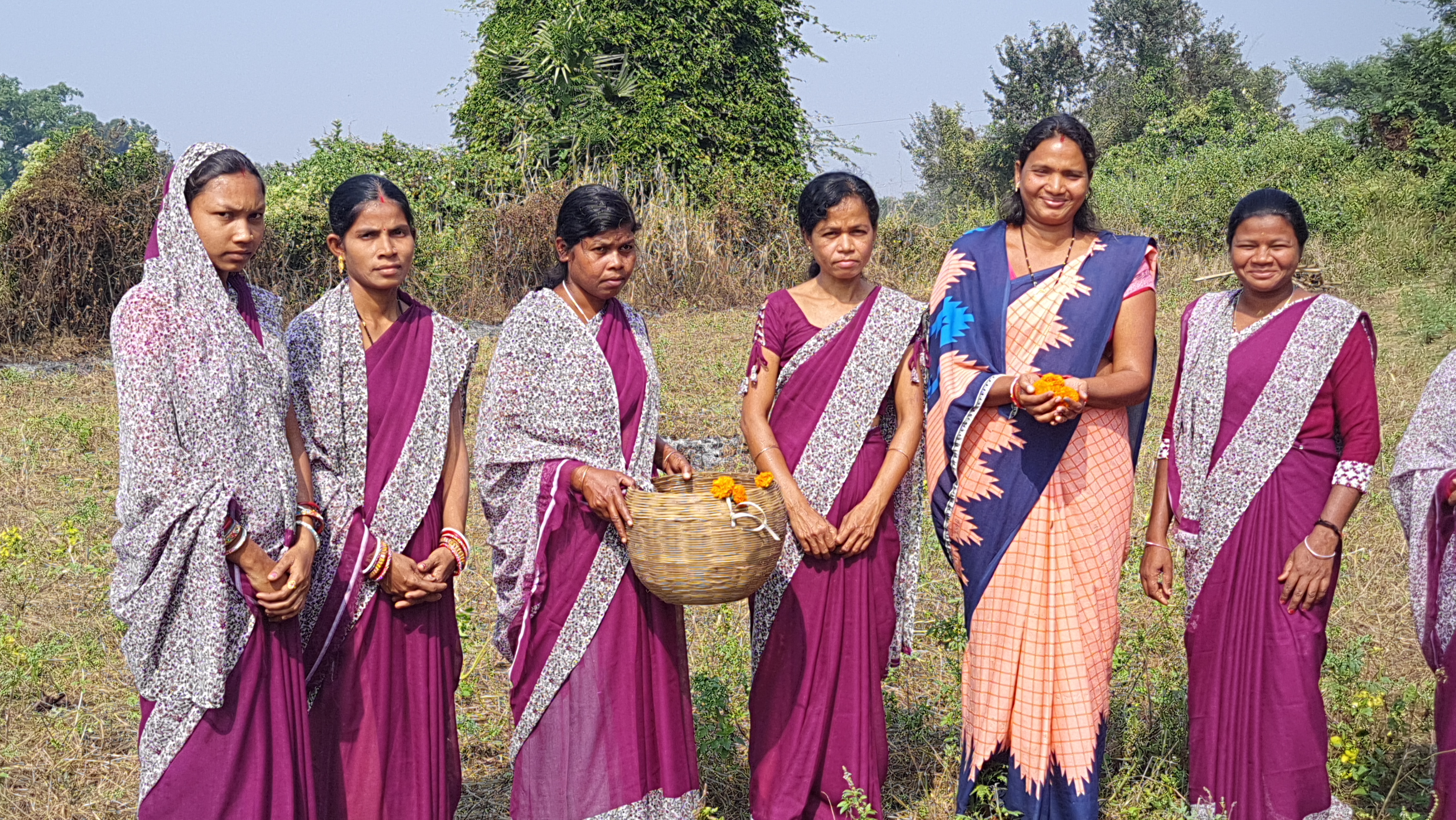 Marigold farming BY SHG women In Sambalpur Maneswar Hutma