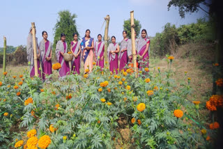 Marigold Farmers of Sambalpur