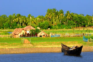 Sundarbans