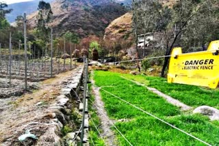 Himachal Solar Fencing Facility