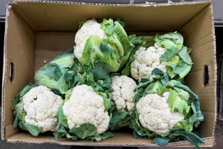 CAN DIABETICS EAT CAULIFLOWER