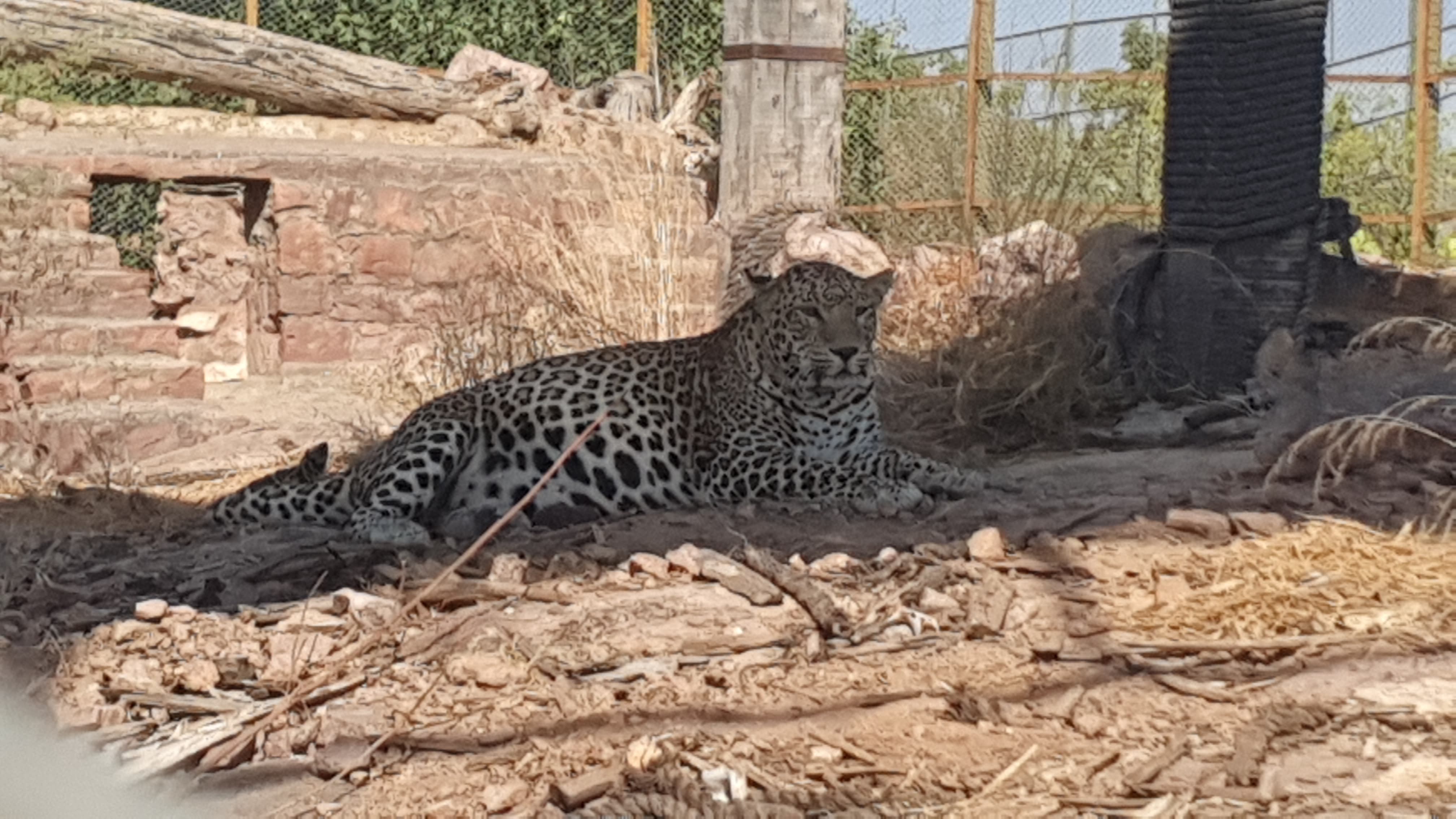 JODHPUR MACHIA BIOLOGICAL PARK