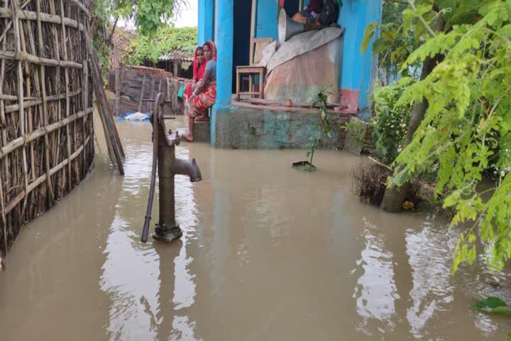 increase water level of koshi river