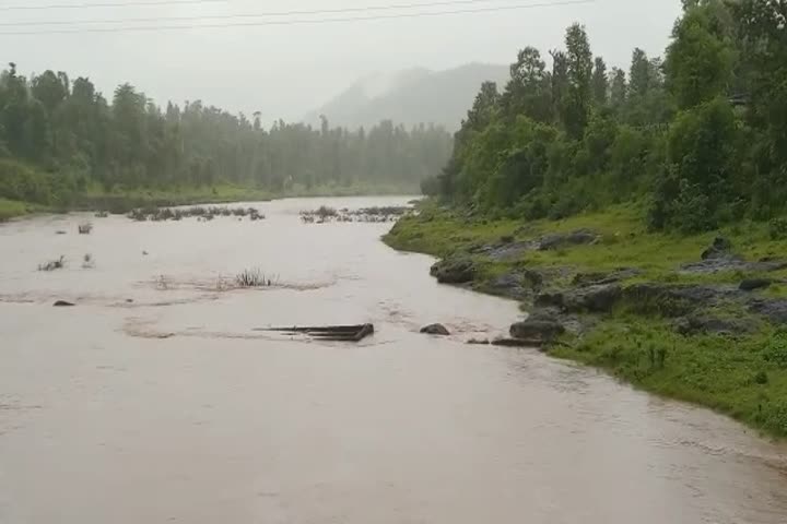 ડાંગ જિલ્લામાં સાર્વત્રિક વરસાદ વરસતા નદીઓમાં પાણીની આવક વધી 