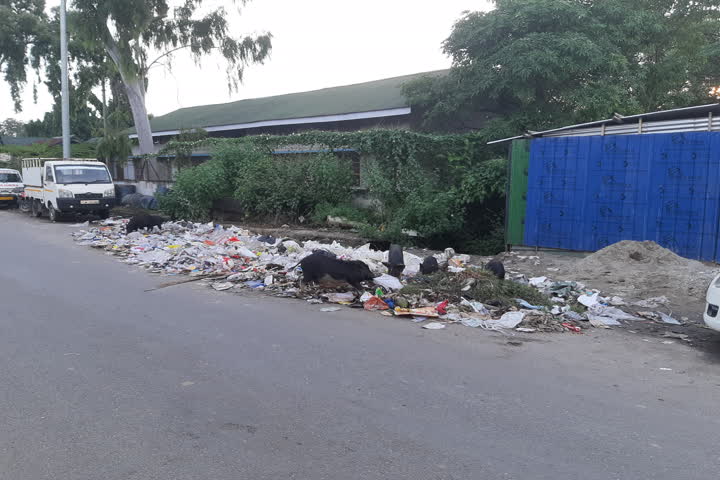 Tezpur garbage pollution story