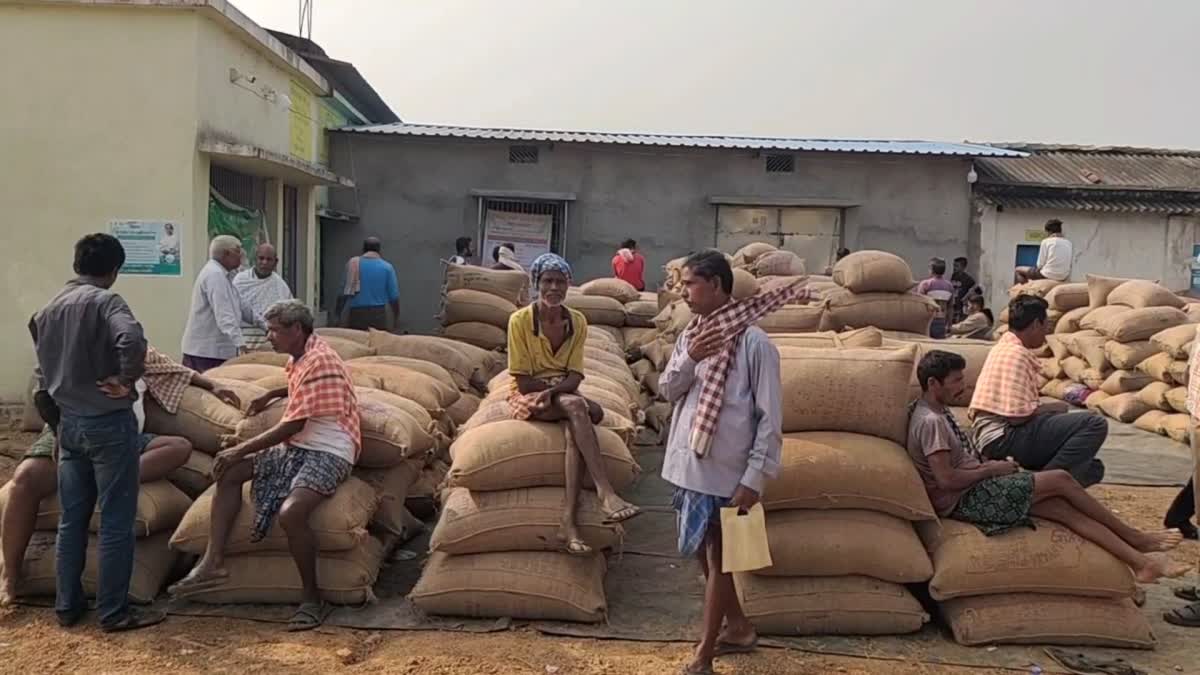 paddy procurement irregularities