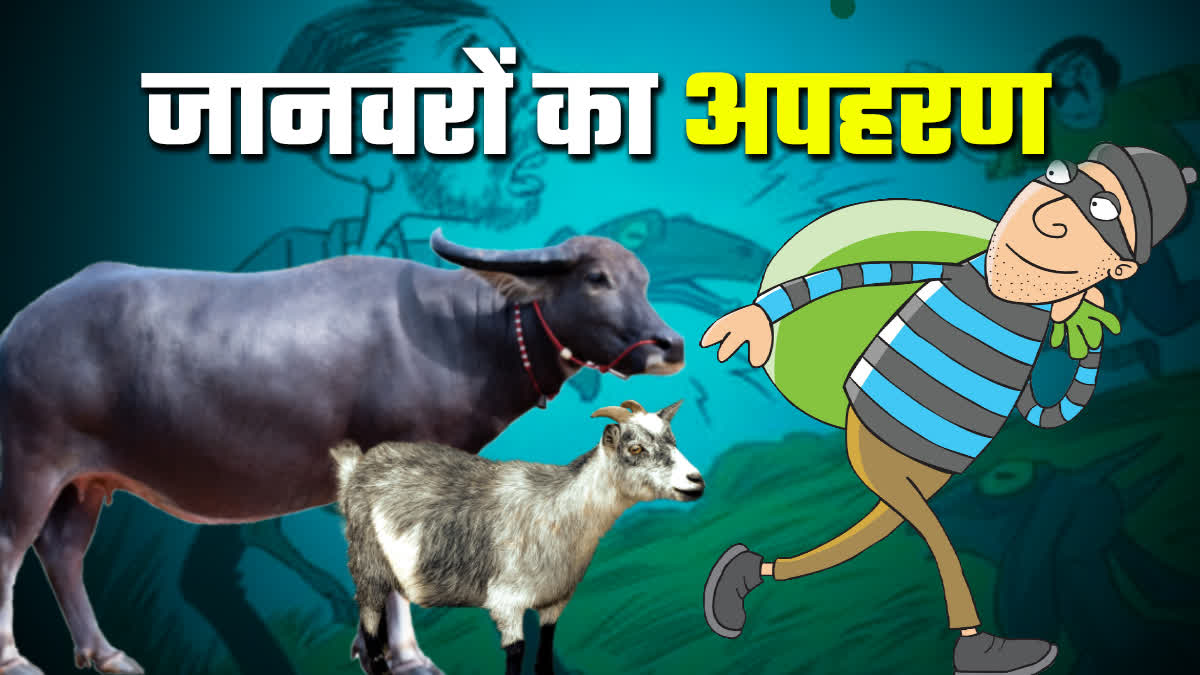 Animals kidnapping in Chambal