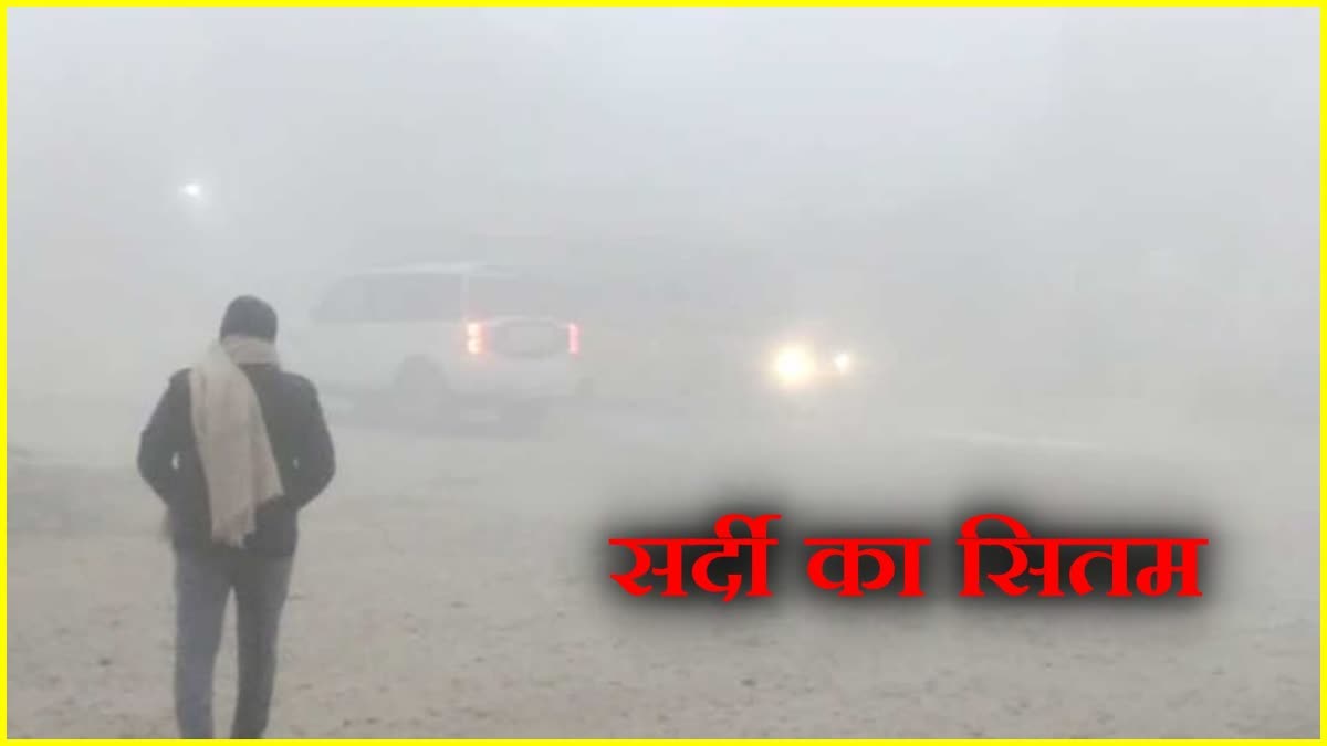 Haryana Weather Update Cold Wave in Haryana
