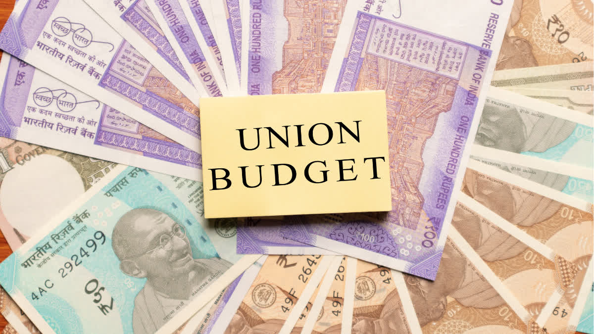 Union Budget 2024 (File Photo)