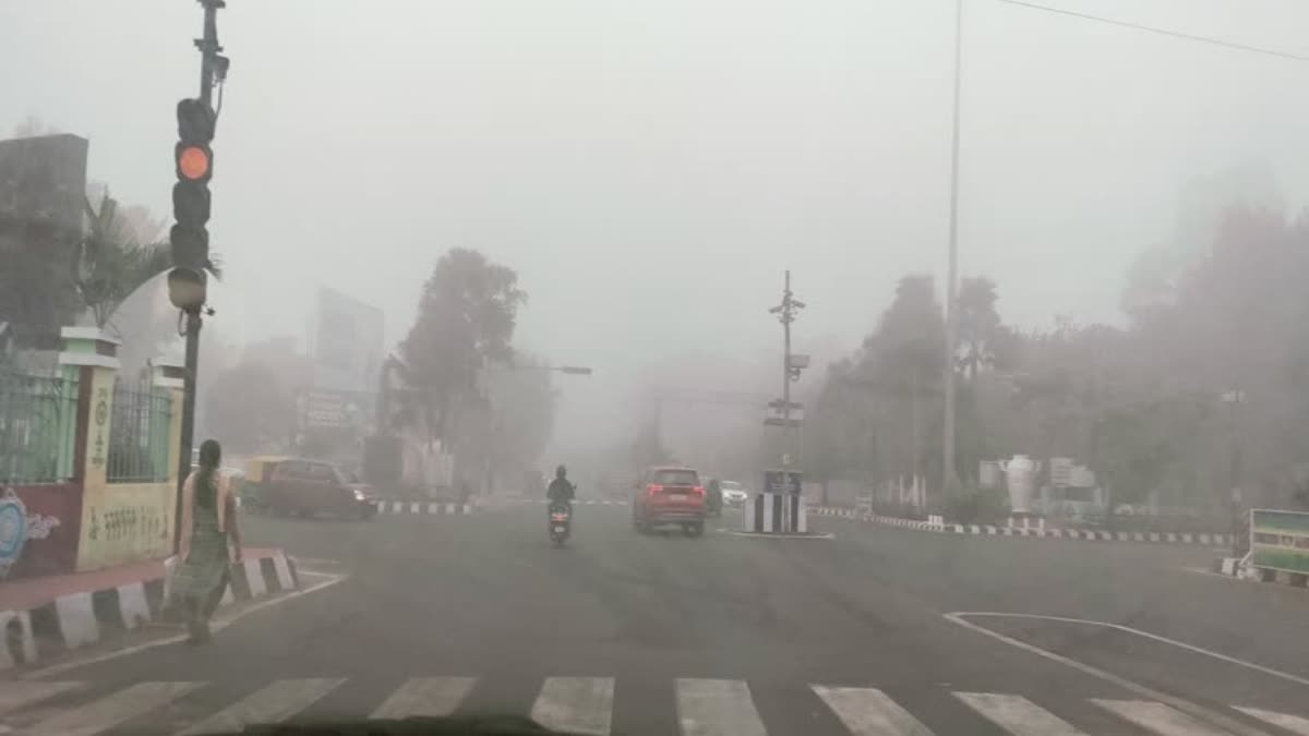 yellow alert over dense fog