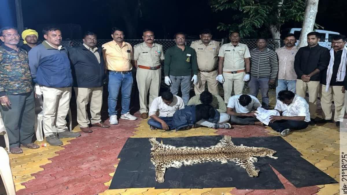 Leopard skin smuggling