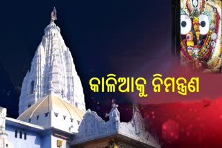 Maa Samaleswari Temple Project