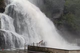Flood in courtallam falls