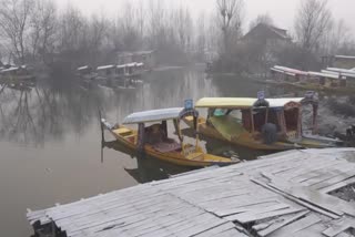 Winter in Srinagar