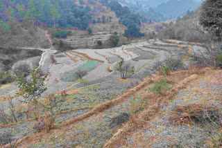 Climate Change In Himachal Pradesh
