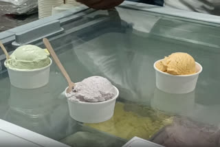 Millet ice cream (Photo: ETV Bharat)