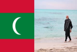 Maldives Ministers Suspended