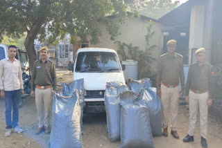 241 kg doda sawdust seized in Chittorgarh