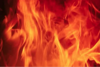 Massive fire in thermocol factory in Faridabad, three injured