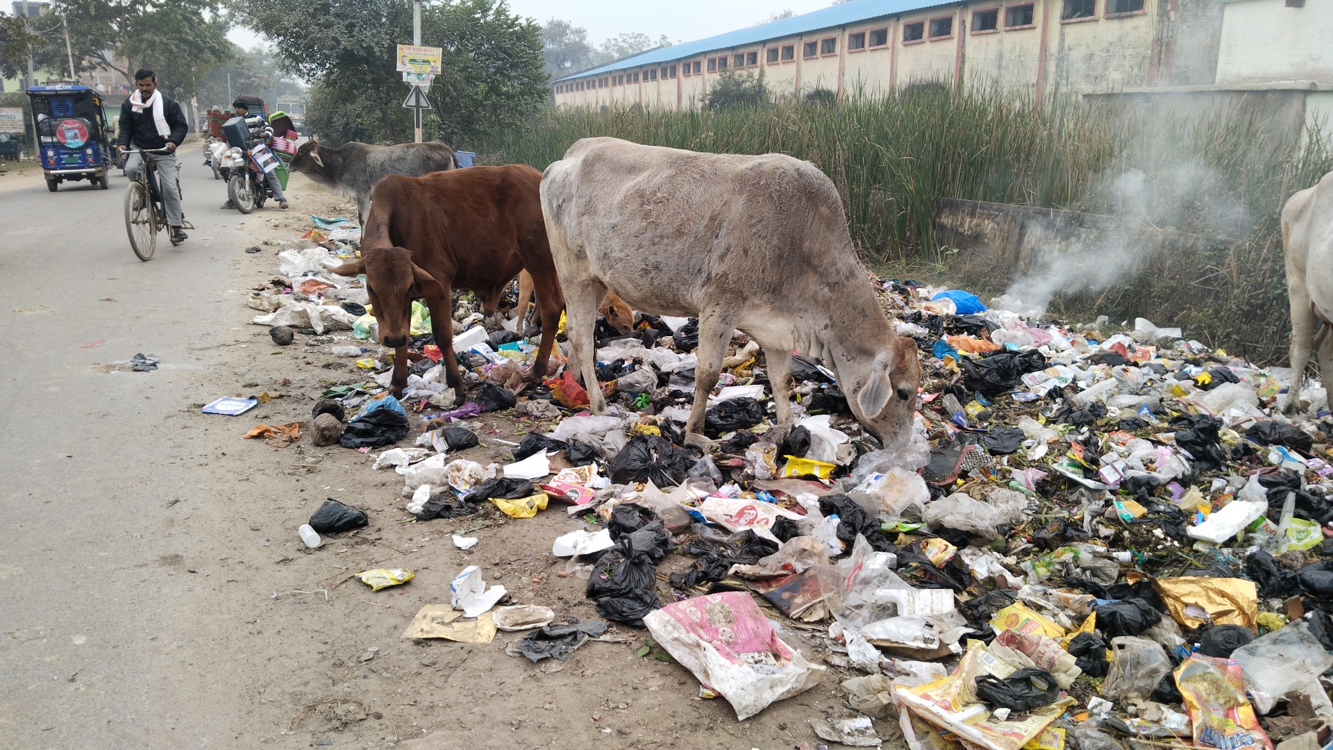 सड़क किनारे फैली गंदगी