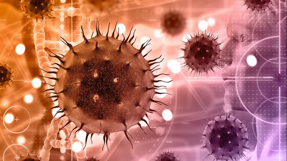 let's know everything about HMPV virus