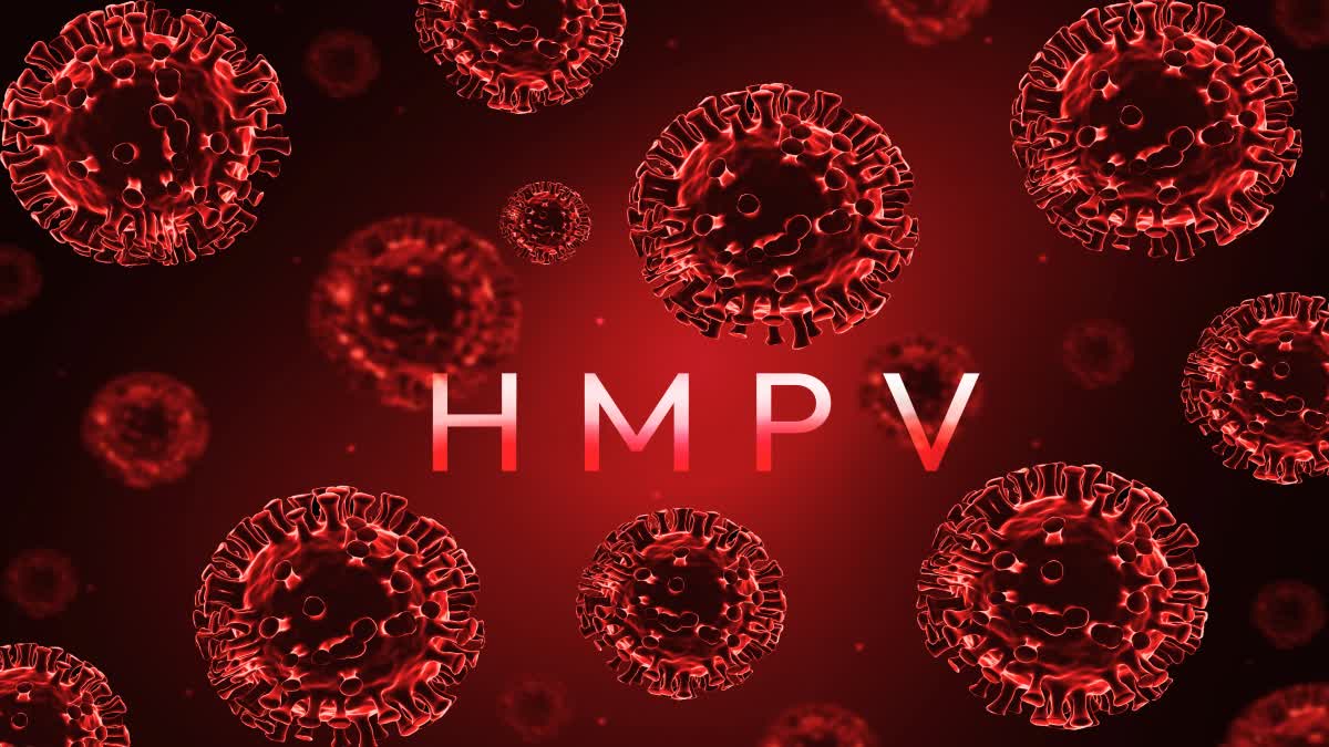 hmpv virus is dangerous