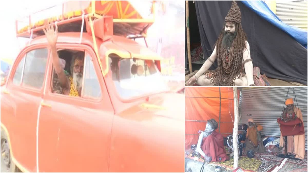 Babas In Maha Kumbh 2025