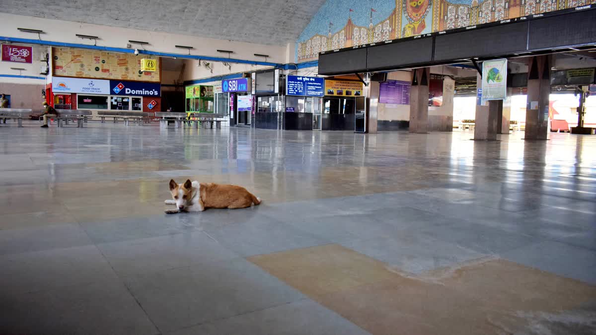 Police have registered a case against 10 women for allegedly attacking a man and his family members after being angry over his pet dog barking in their locality here, an official said on Tuesday.  The incident took place on Sunday at Ambivili in Kalyan area of Maharashtra's Thane district.