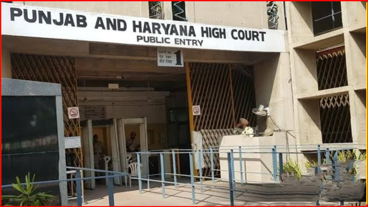 Punjab Haryana High Court