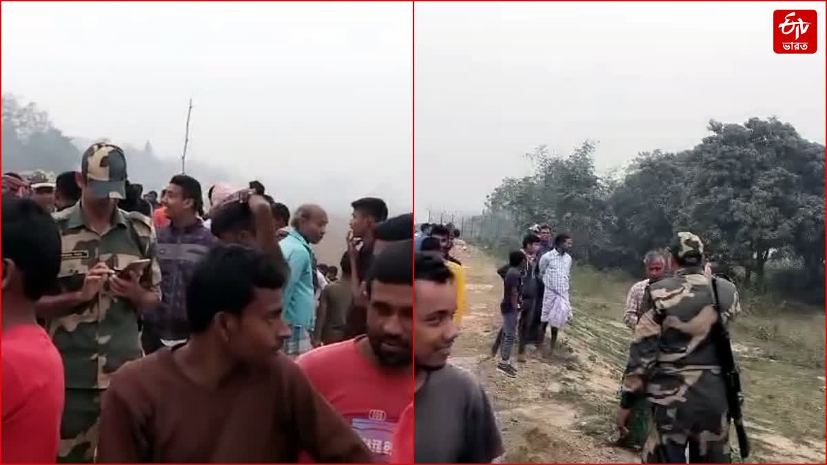 FENCING IN INDIA BANGLADESH BORDER