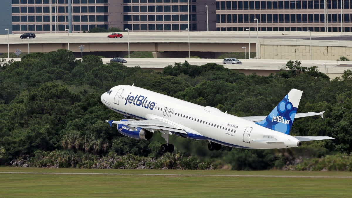 2 Bodies Are Found In The Landing Gear Of JetBlue Plane At Florida Airport