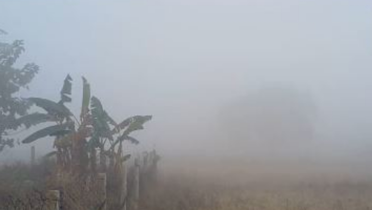 DENSE FOG COVERS NORTH INDIA  THICK LAYER OF FOG  AYODHYA RAILWAY  TAJ MAHAL COVERED FOG